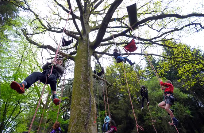 Été actif : Grimpe d'arbres