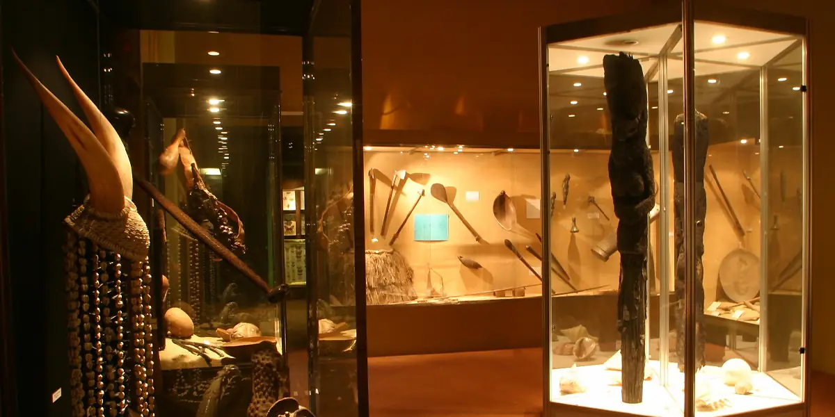 MUSEUM D'HISTOIRE NATURELLE