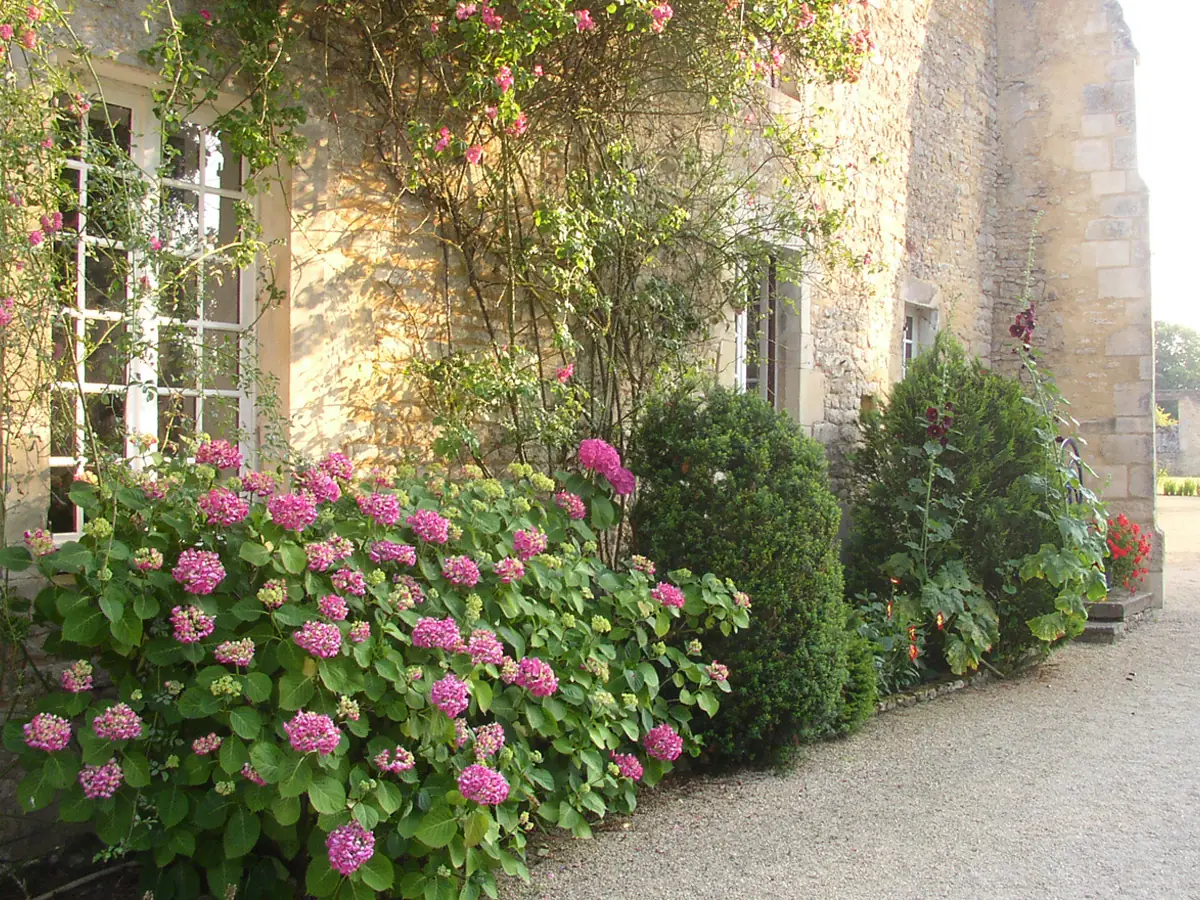 Abbaye Sainte-Marie aux Dames
