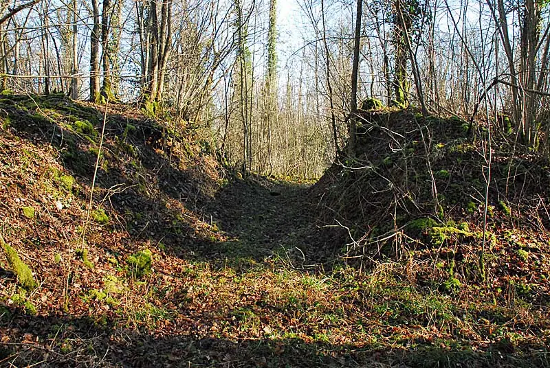 Batterie N°3 de Plesnoy