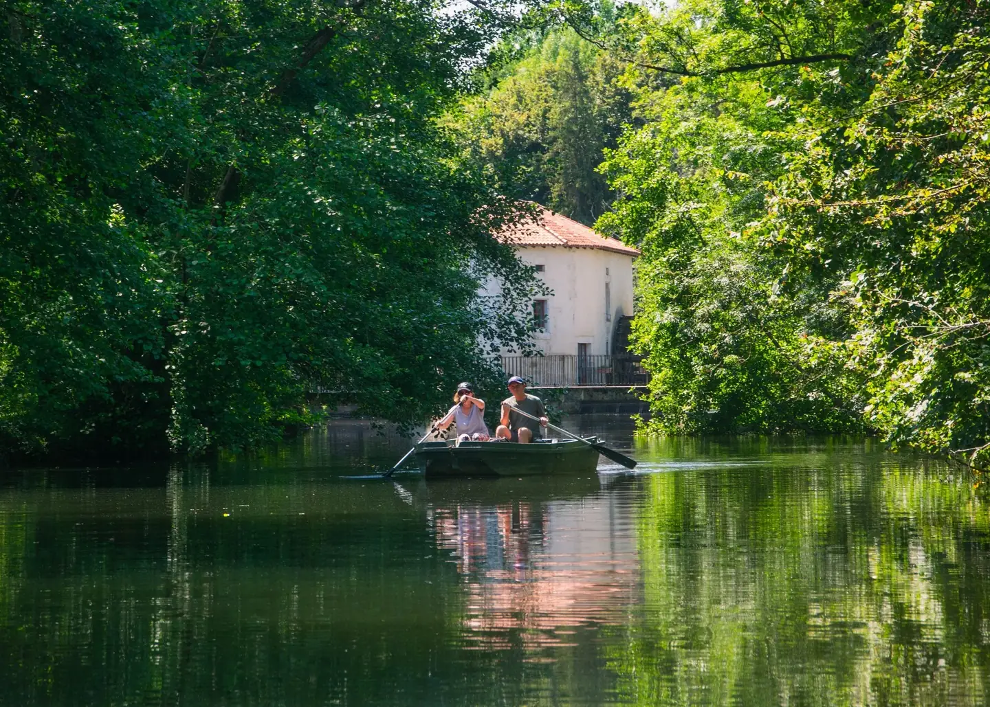 Visite guidée en Barque sur la Dronne