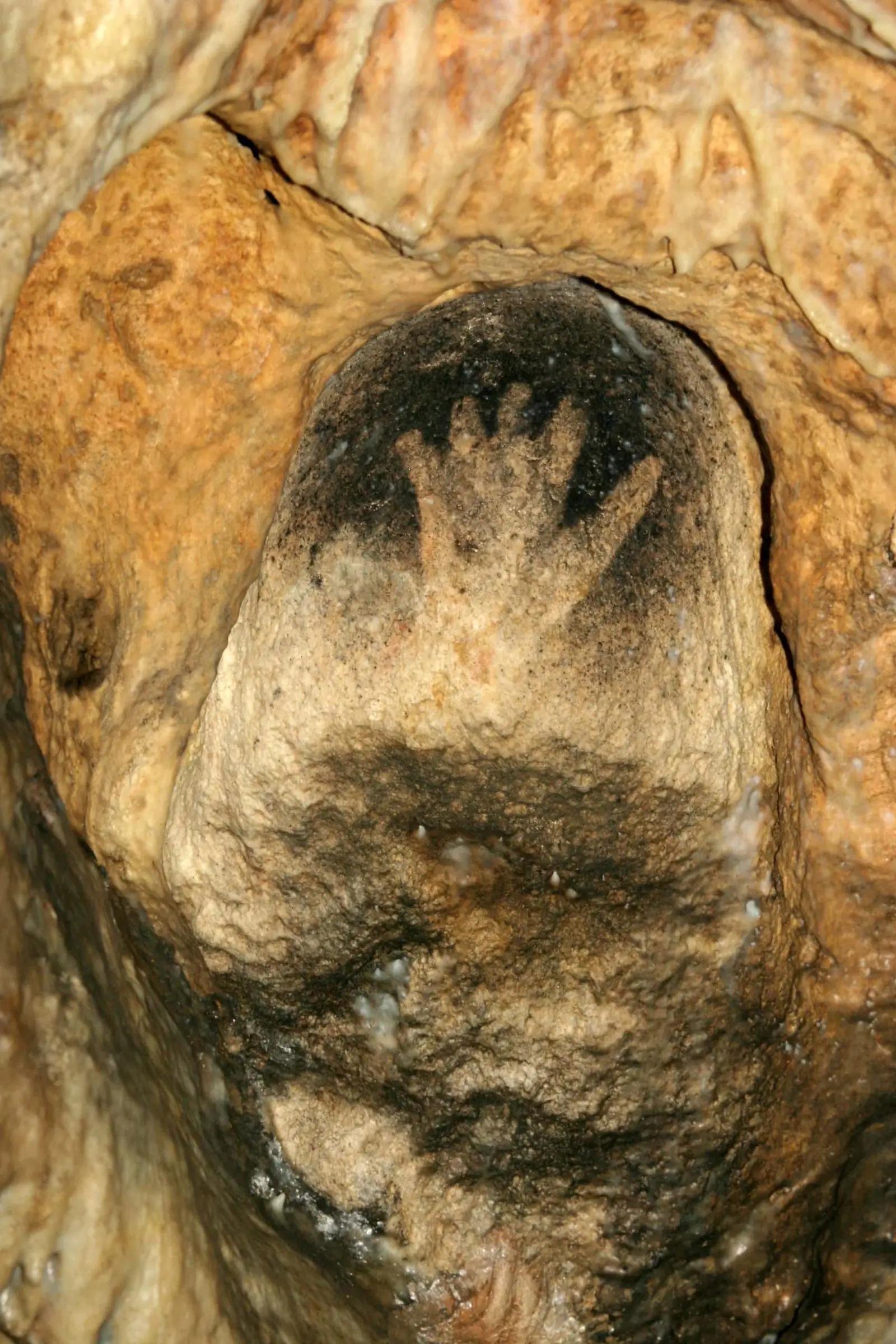 GROTTES DE GARGAS