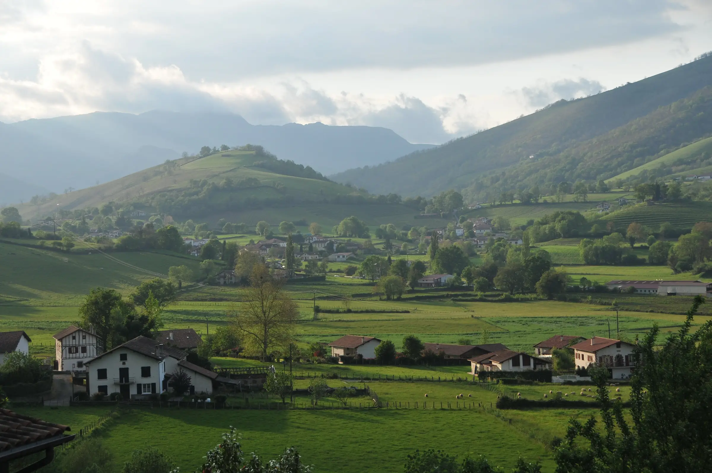 Rencontre vigneronne