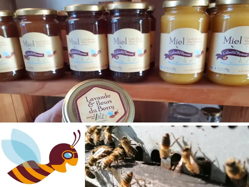 L'abeille de Brenne