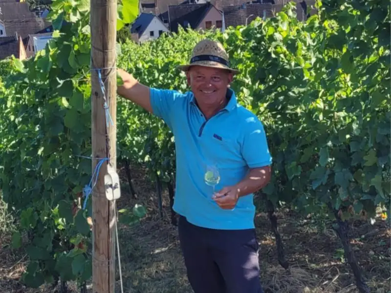 Apéro gourmand au domaine Tappe
