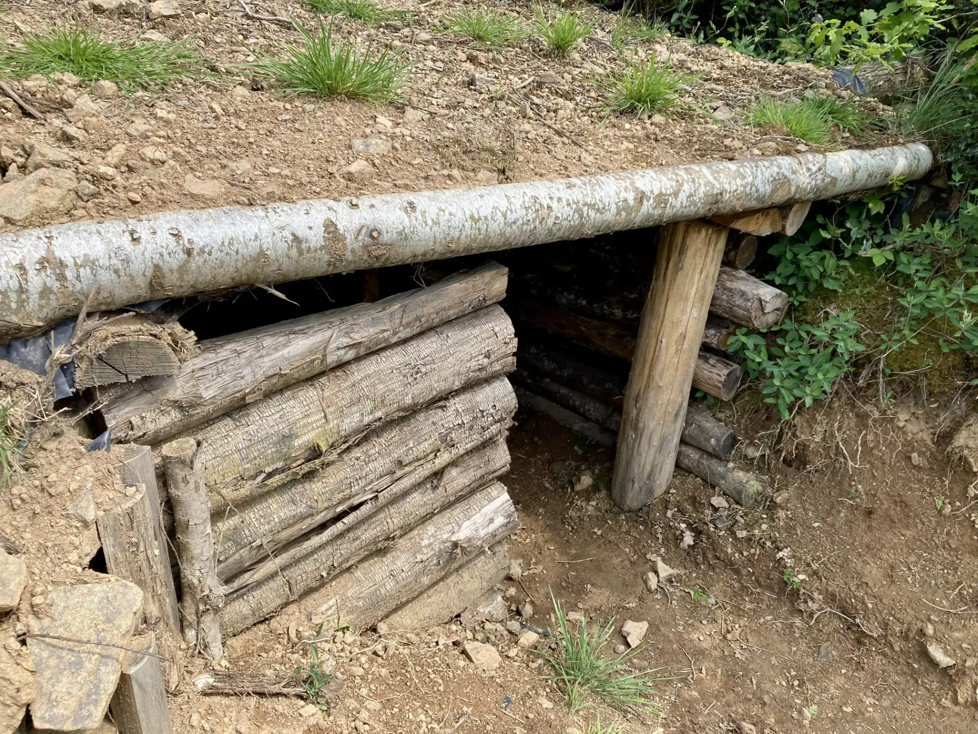 Planque du maquis