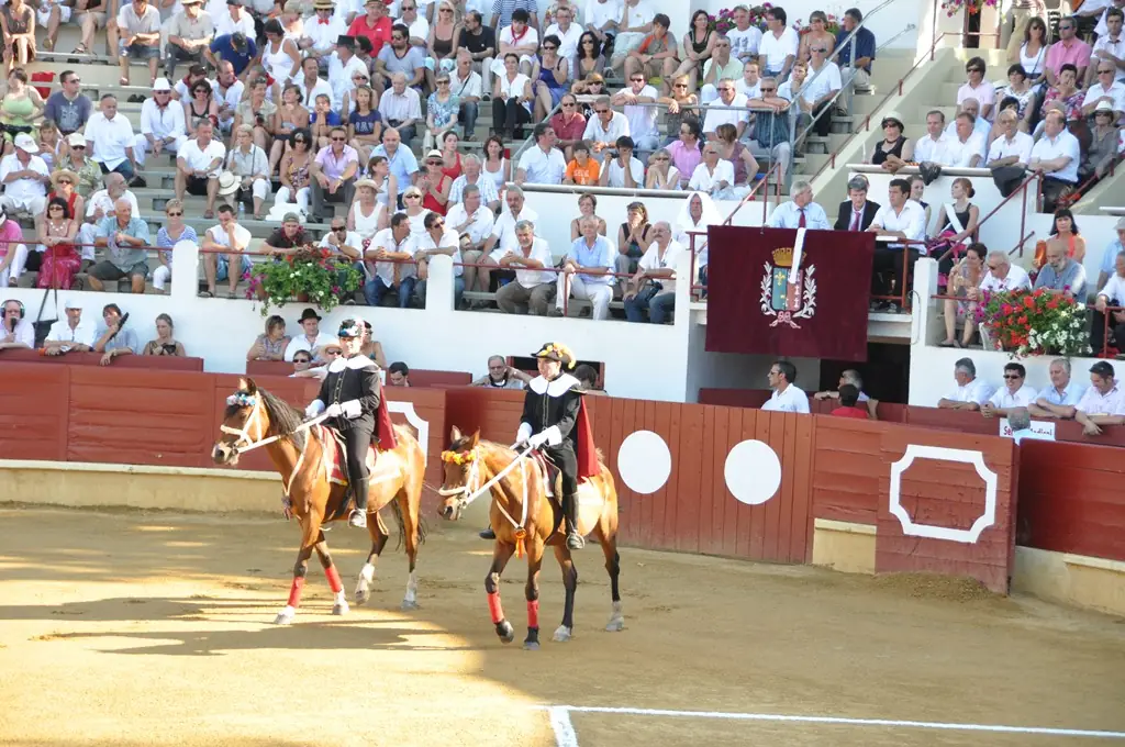 Arènes Henri Capdeville