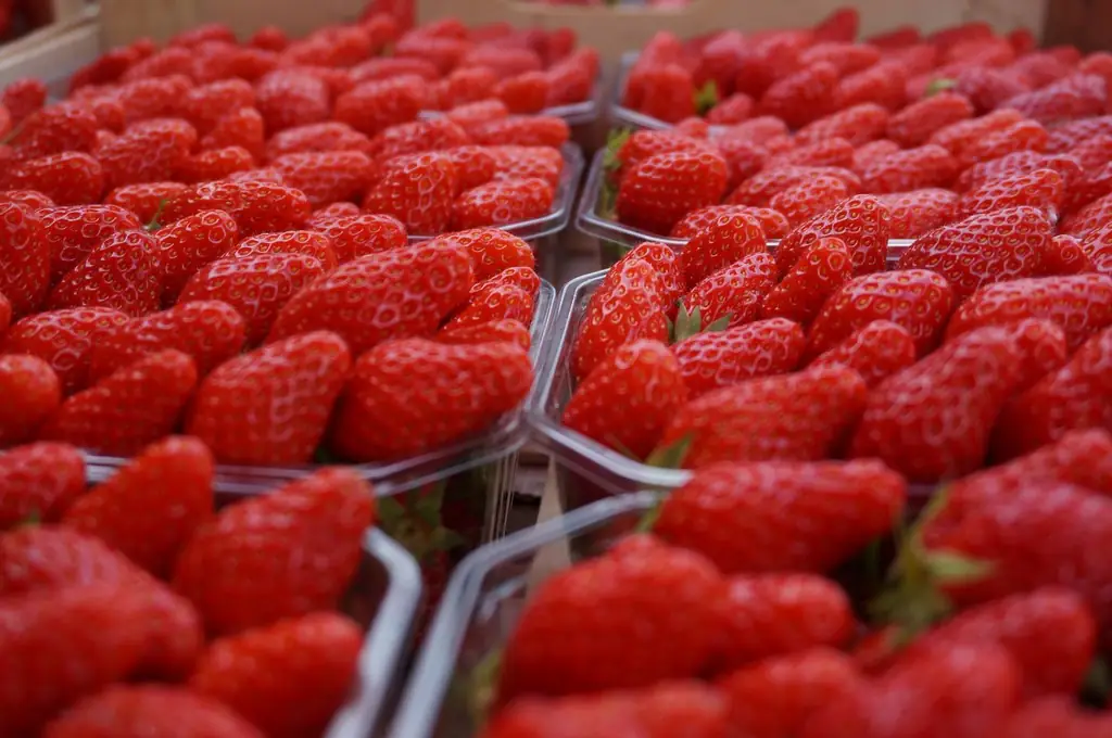 Marché Uzerchois
