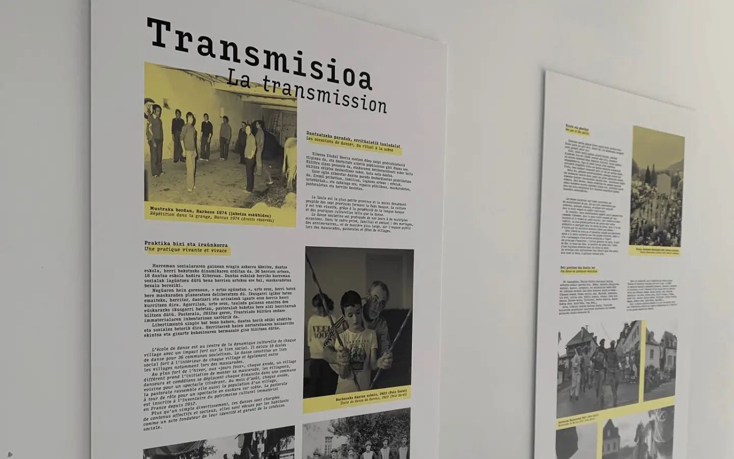 Dantzan, espace de médiation sur la danse souletine - Barkoxe bizi