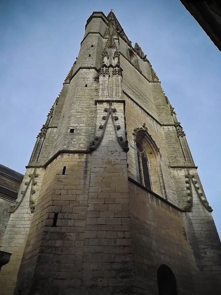 Niort, capitale urbaine du Marais Poitevin