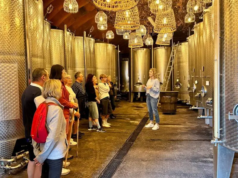 De la vigne au verre - secret du vin d'Alsace