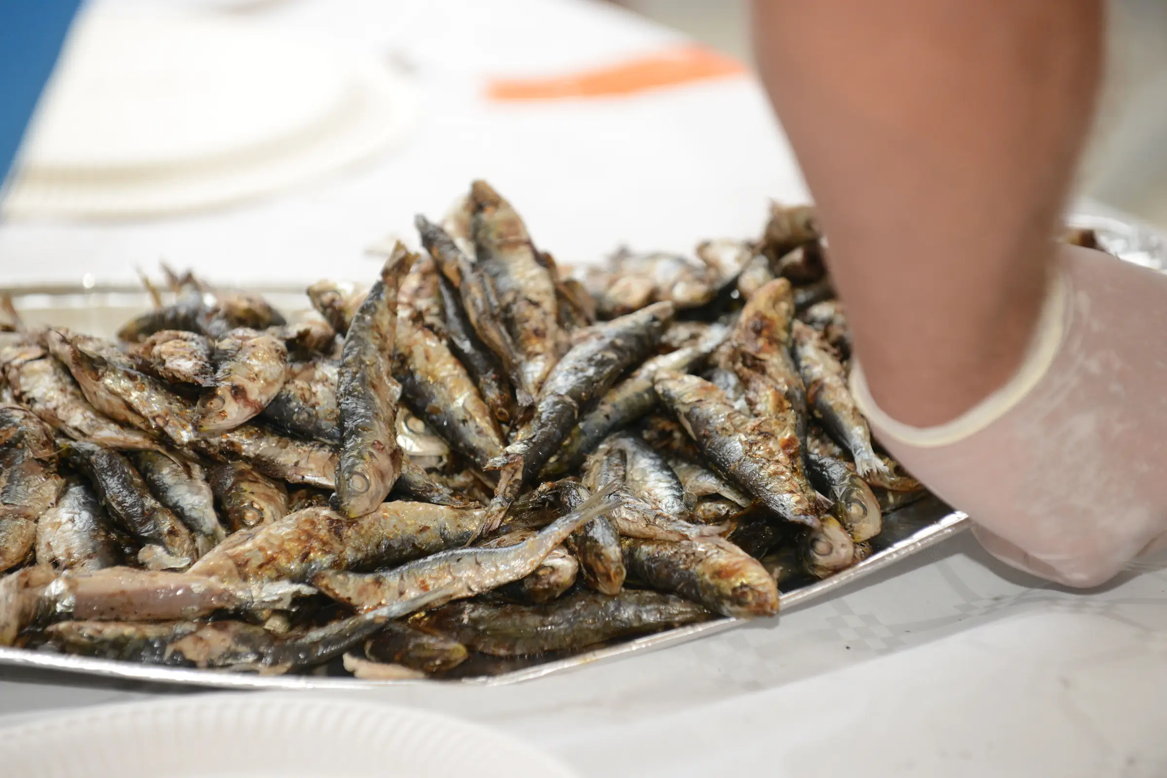 SARDINADE