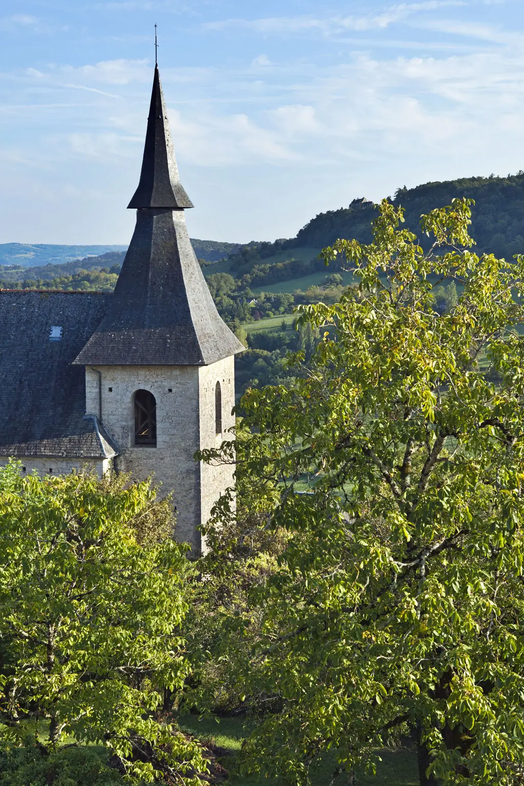 Collégiale Notre-Dame Saint-Pantaléon