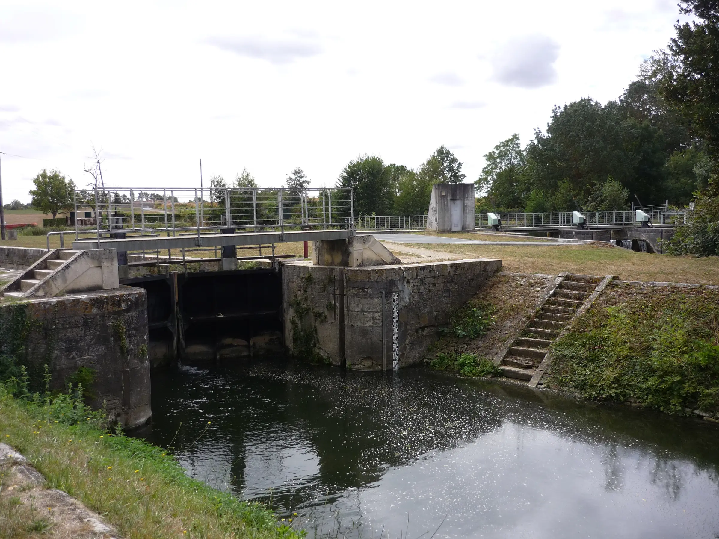 Site du Marais Pin (Magné)