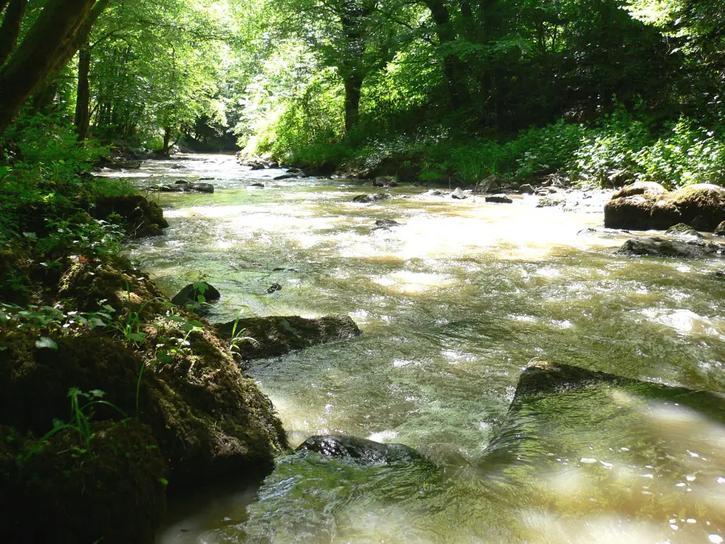 Lagraulière