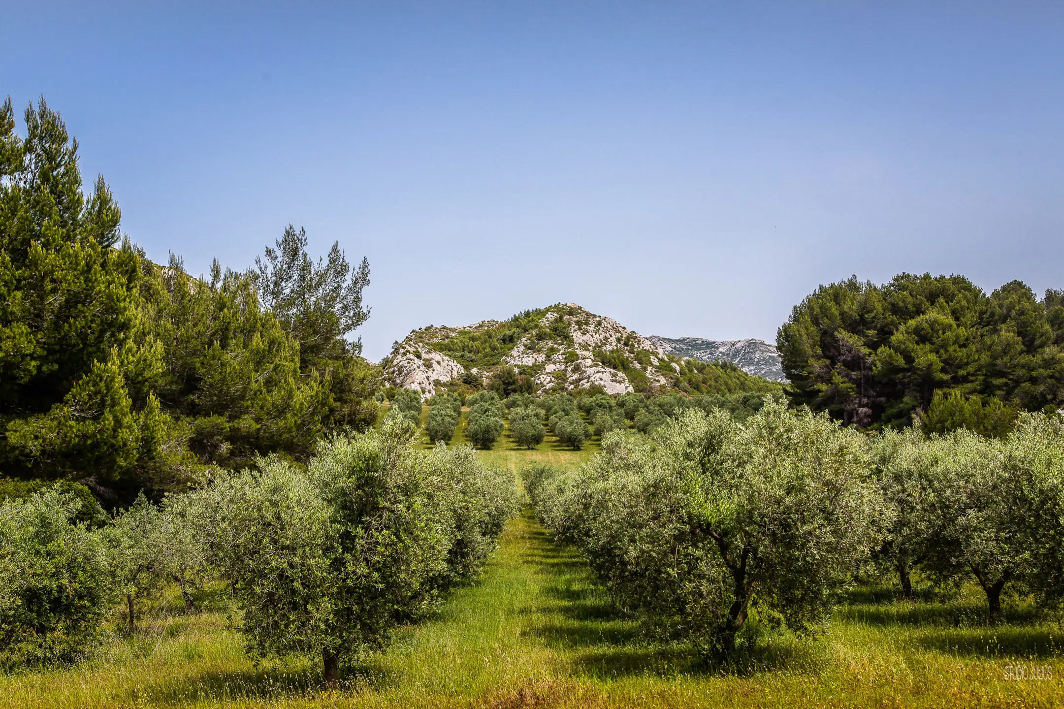 Oppidum des Caisses de Jean-Jean