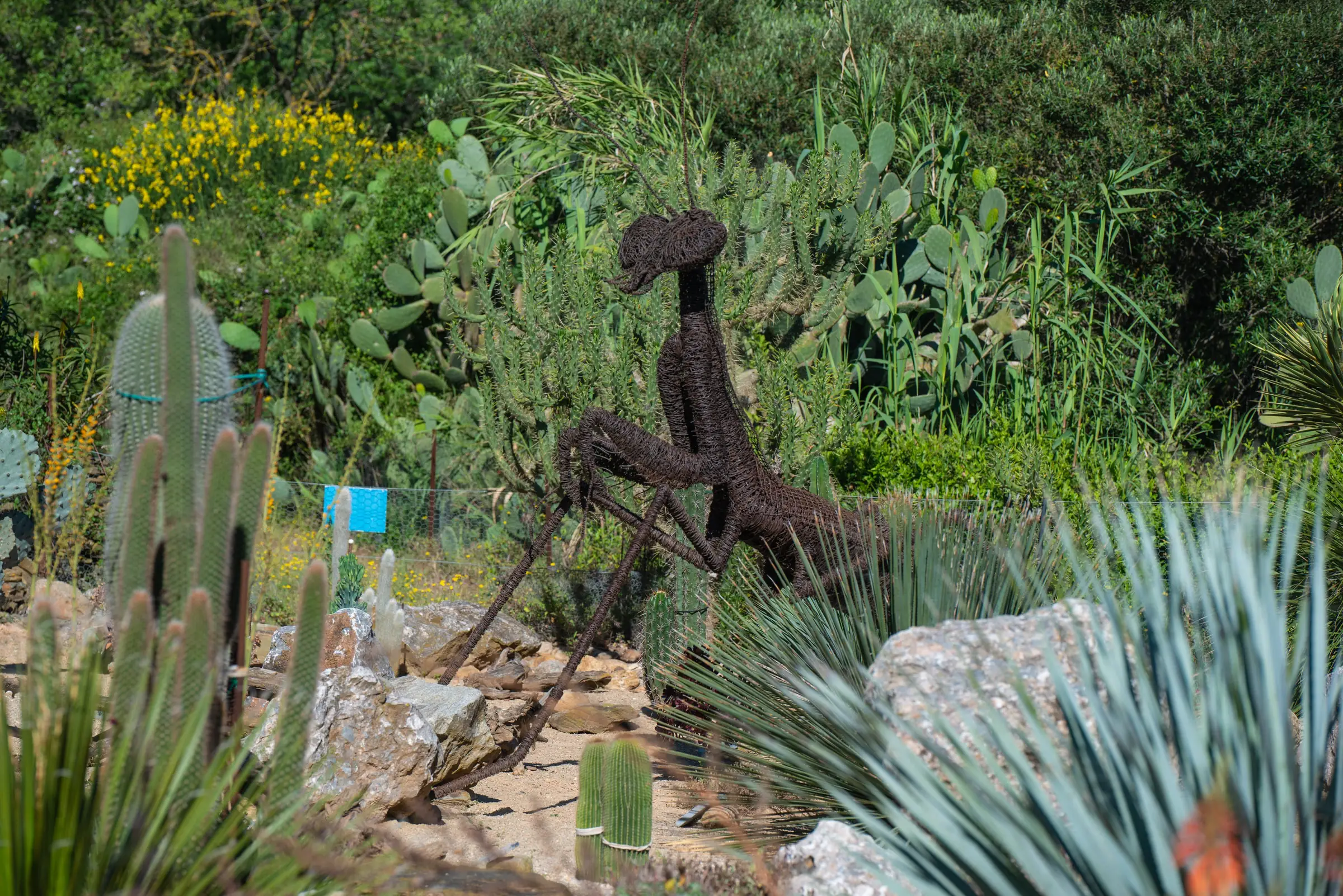 ARBORETUM MAS ROUSSILLON