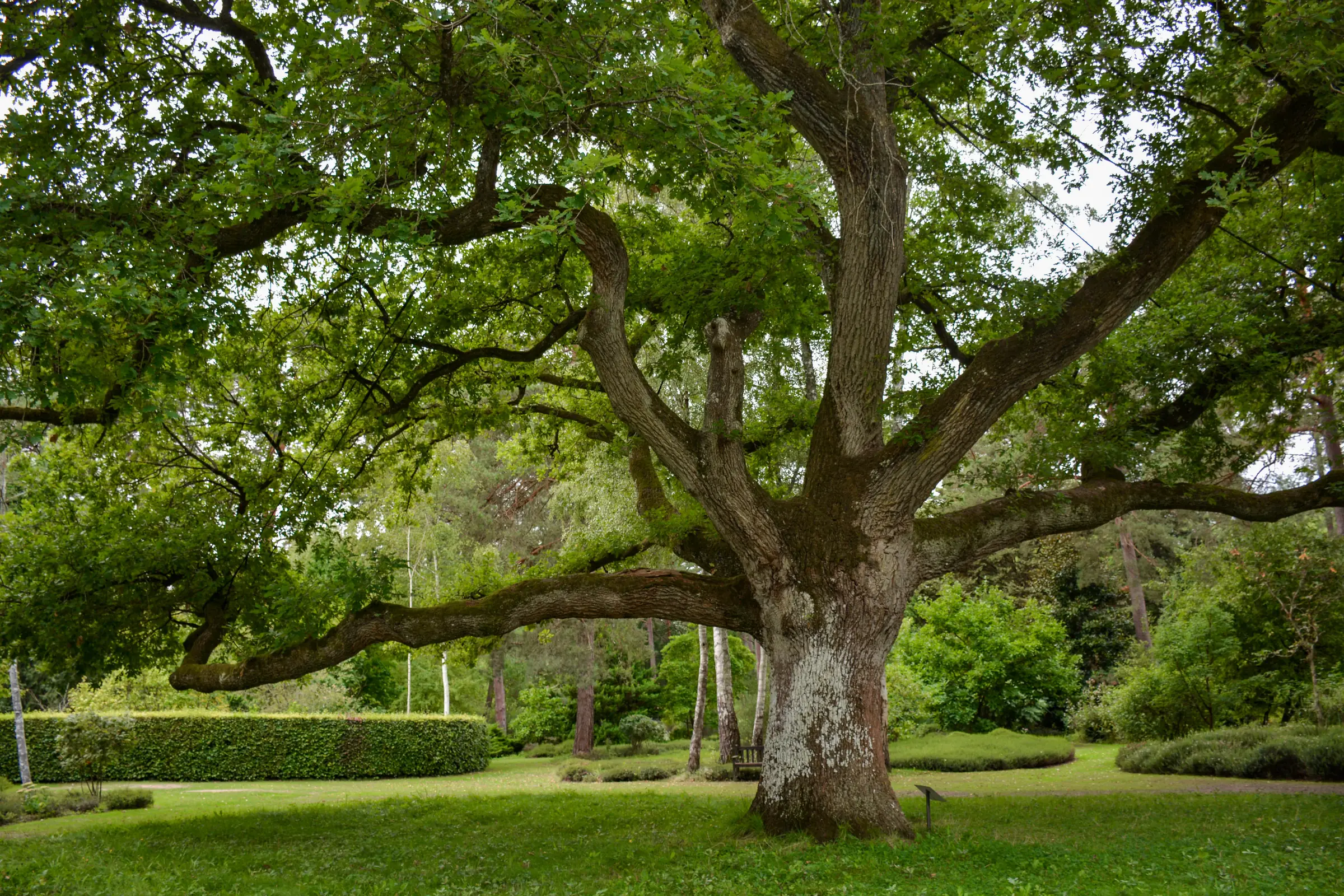 Navette touristique - Arboretum des Grandes Bruyères et Château de Chamerolles