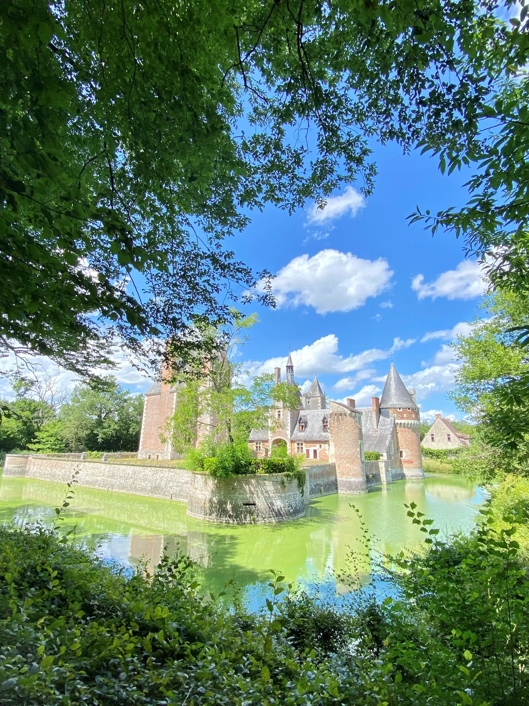 Château du moulin