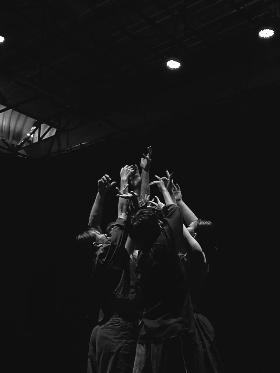 Peuple mékong, Peuple Loire & 5x5 - Danse