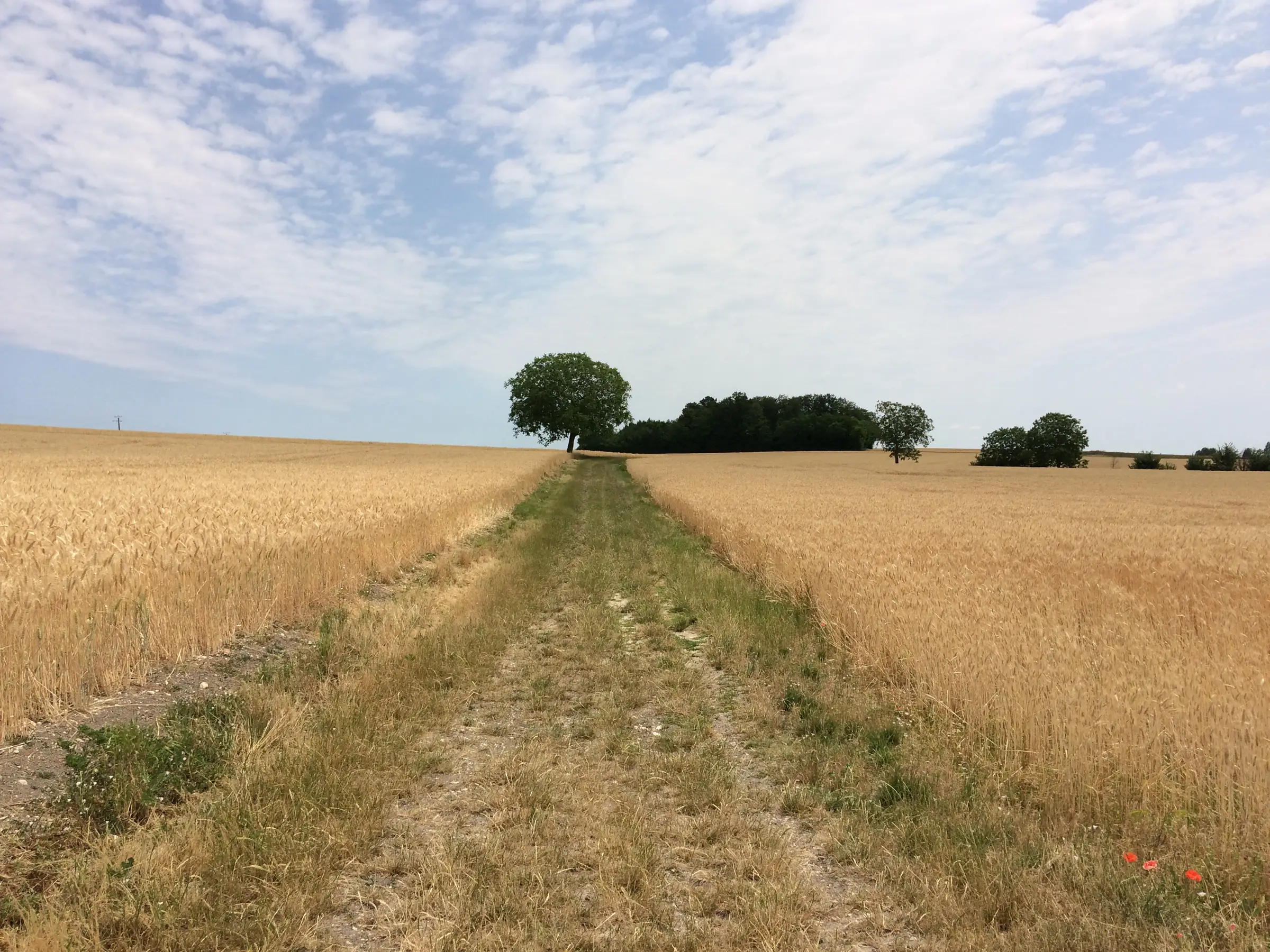 Randonnée littéraire : Sur les pas de Félix - 5 km
