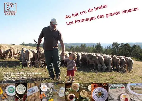 FROMAGERIE DE HYELZAS LE FEDOU
