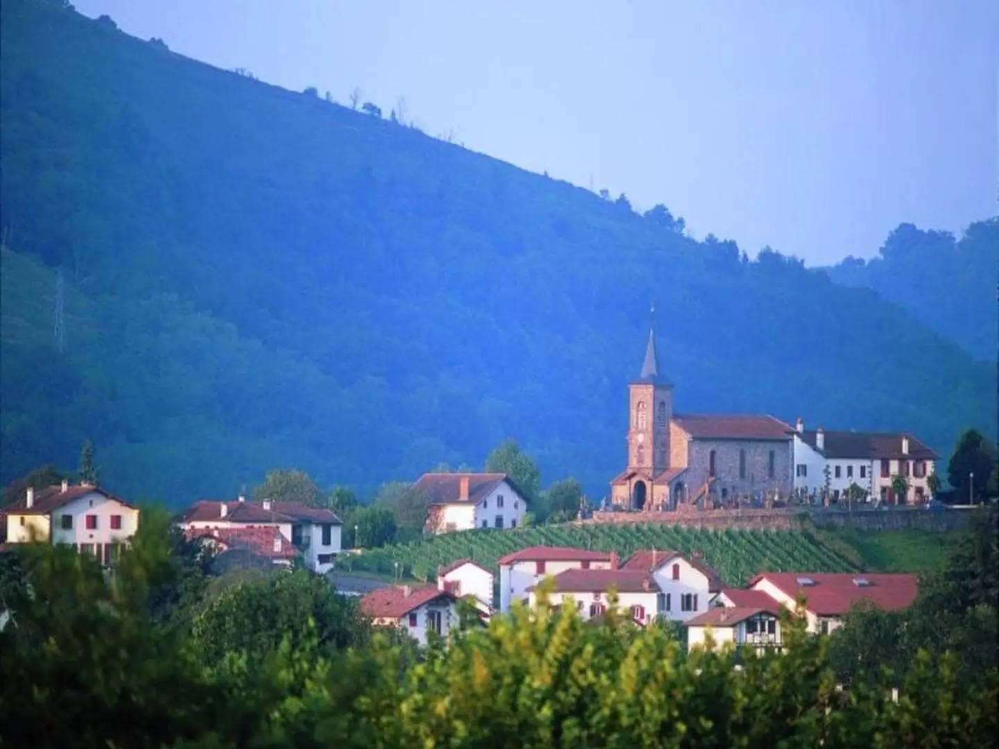 Fêtes de village
