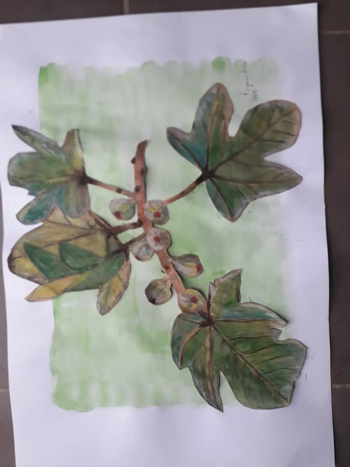 Exposition : Aquarelles