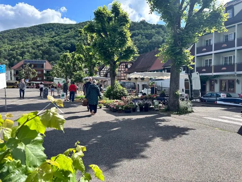 Marché hebdomadaire