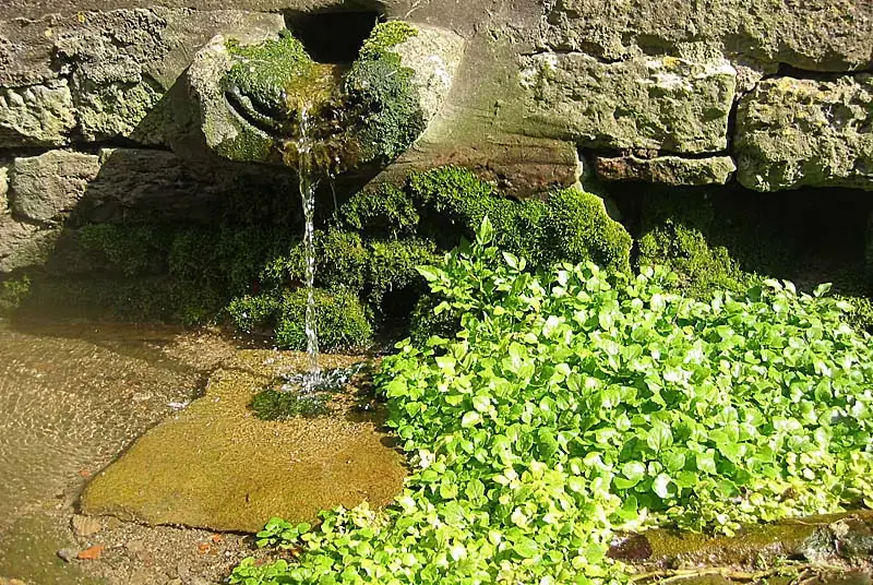 Fontaine du Président