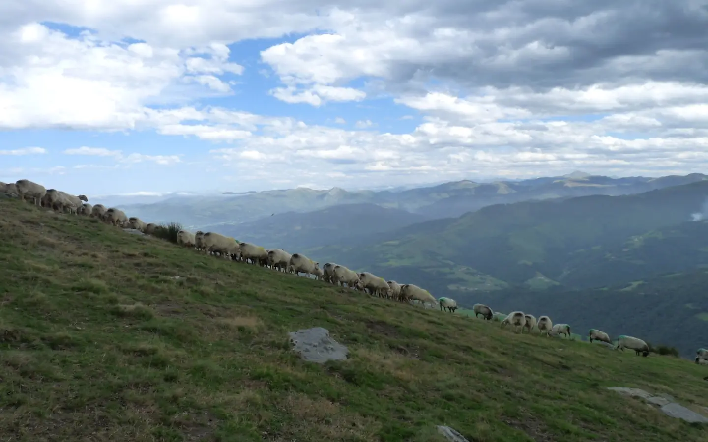 Randonnée acccompagnée Mendi Gaiak : rencontre avec Jean-Bernard, berger sur le mont Urkulu