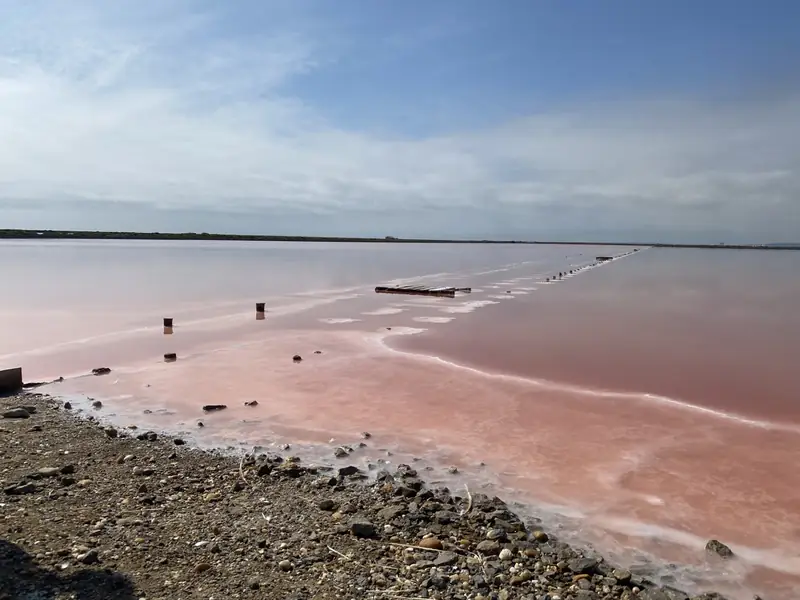 LE SALIN DE L'ÎLE SAINT-MARTIN