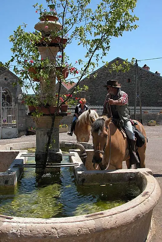 Fontaine de la Godelaine à Chatoillenot