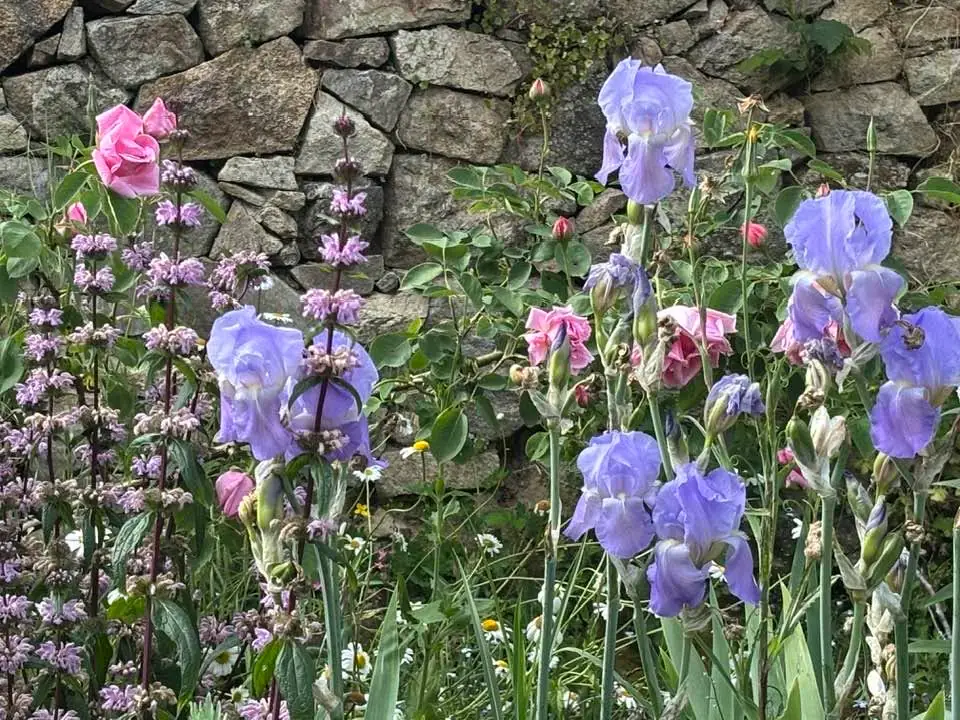Promenade gourmande - château de Losmonerie