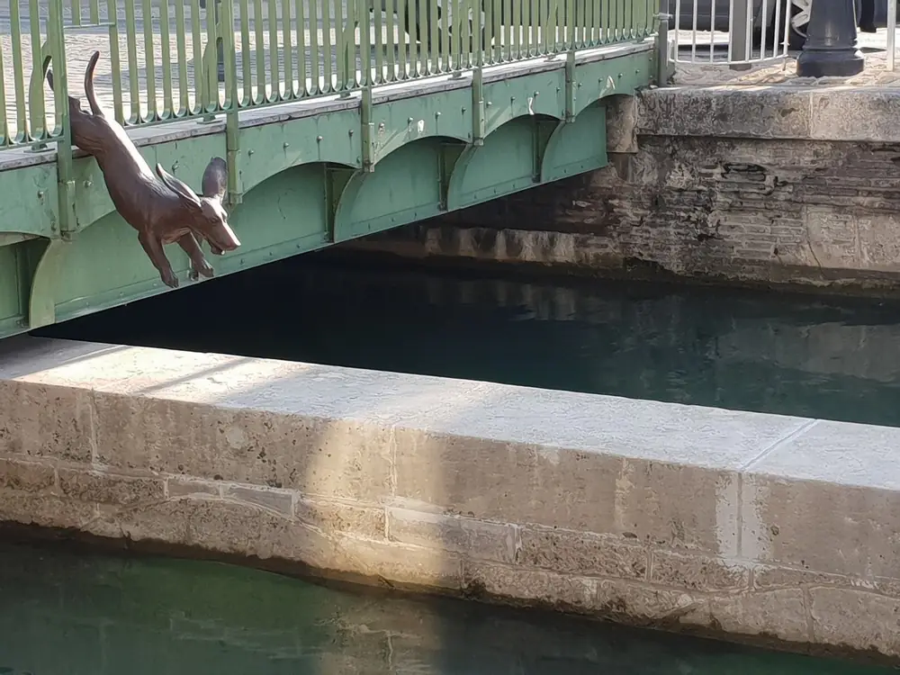 « Attendez-moi »