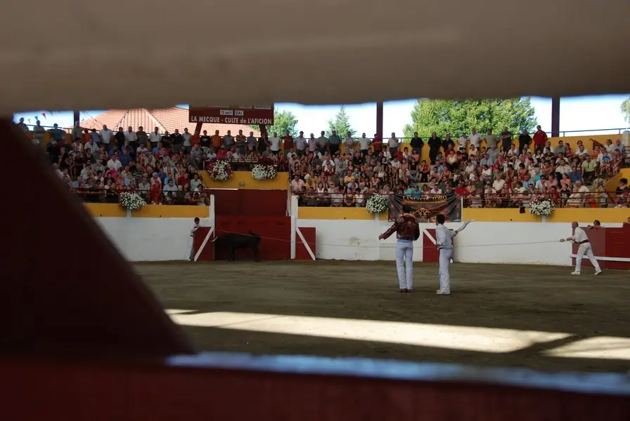 Arènes de Pomarez,  la "Mecque de la Course Landaise"