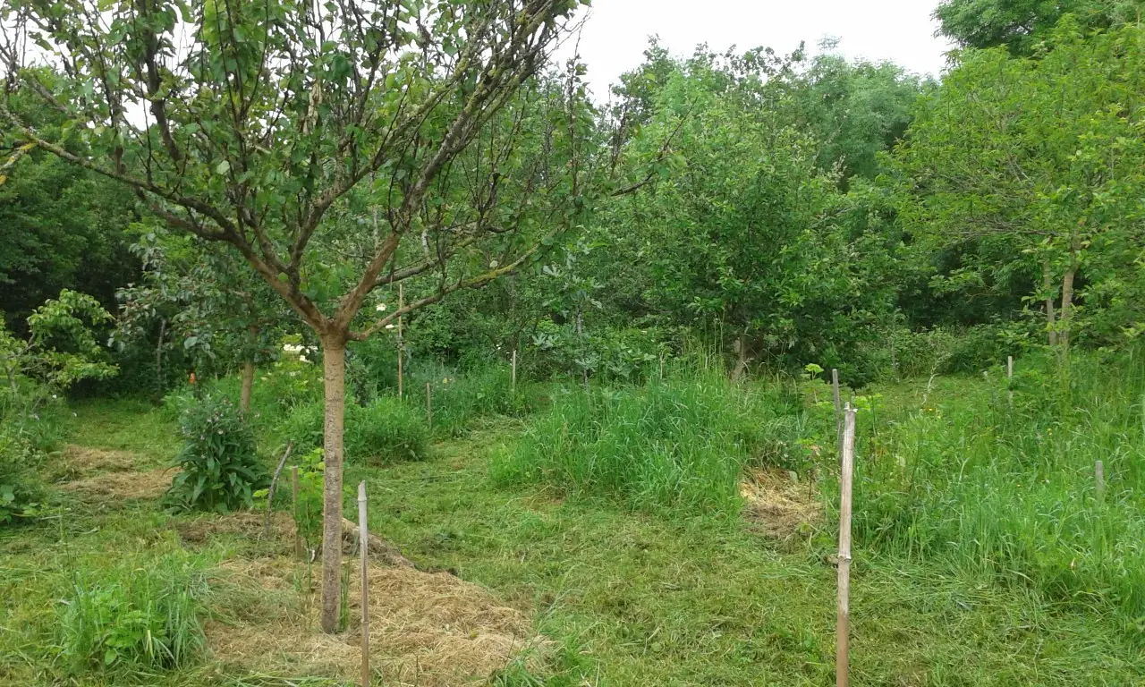 Permaculture au Jardin des Cabanes