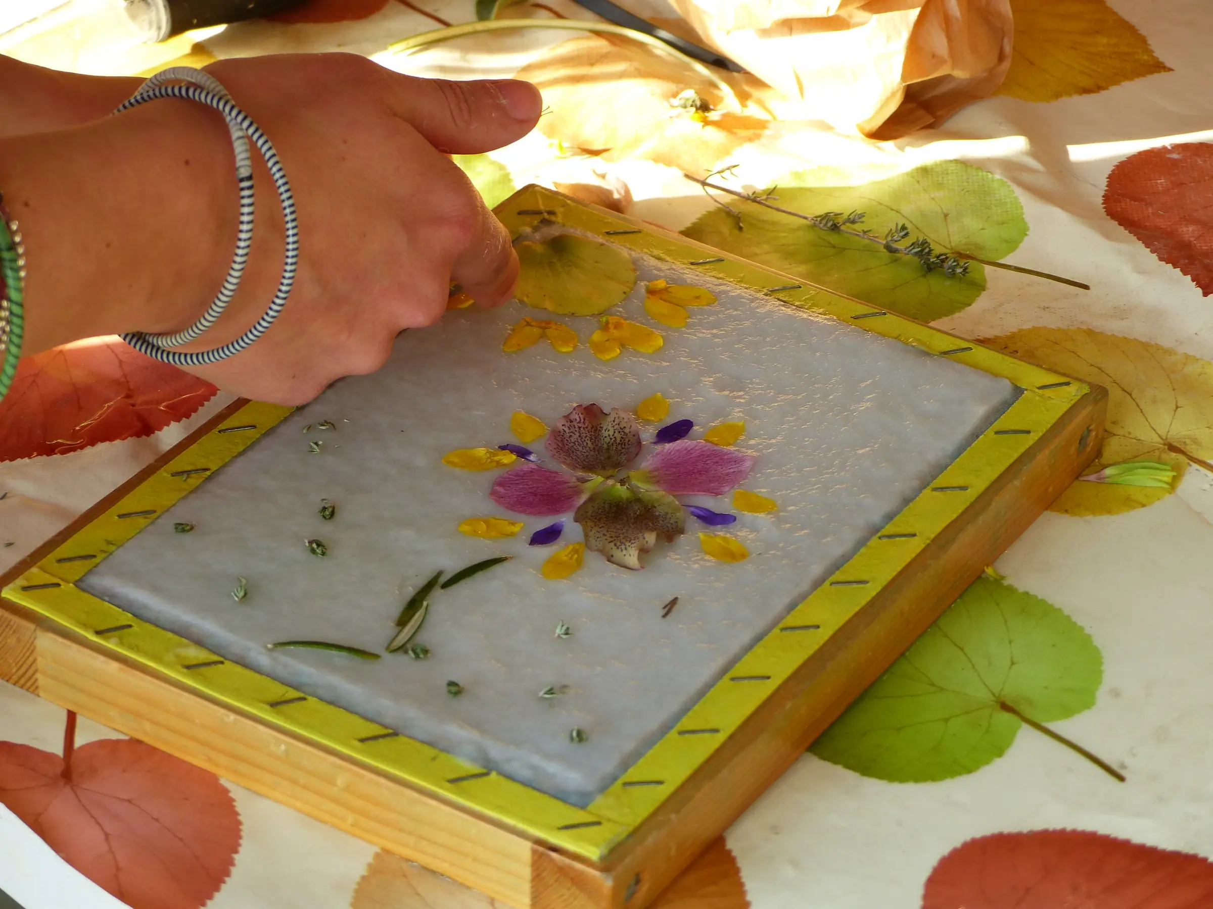 Atelier de pratique artistique Papiers & végétal