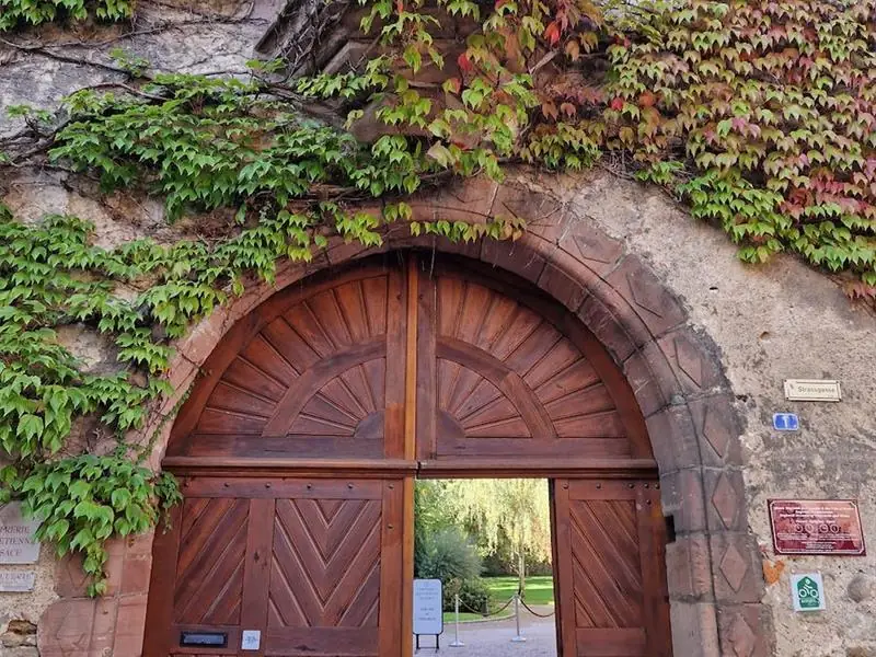 Atelier - Découvrez les millésimes anciens : terroirs d'exception