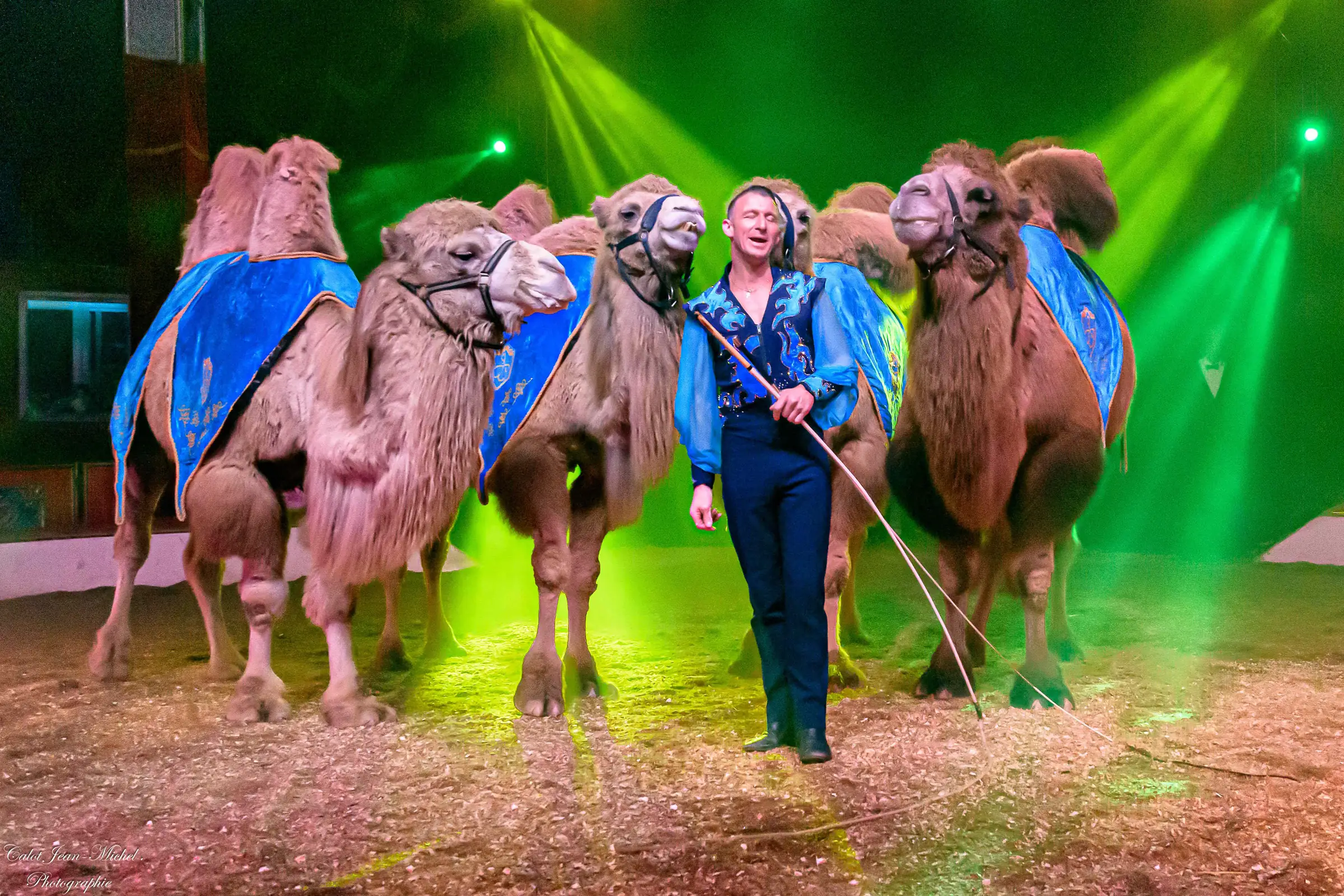 Cirque Lydia Zavatta