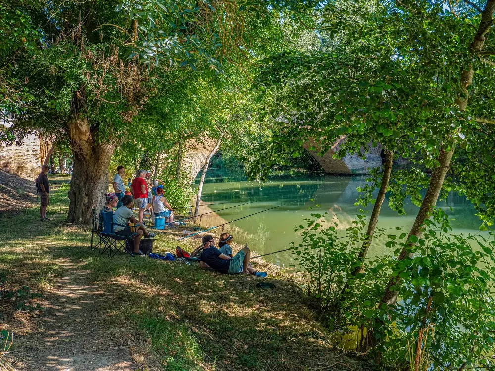 PONT DE LA SAVE