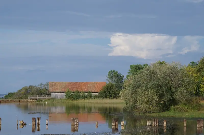 Animation nature - À la croisée des patrimoines