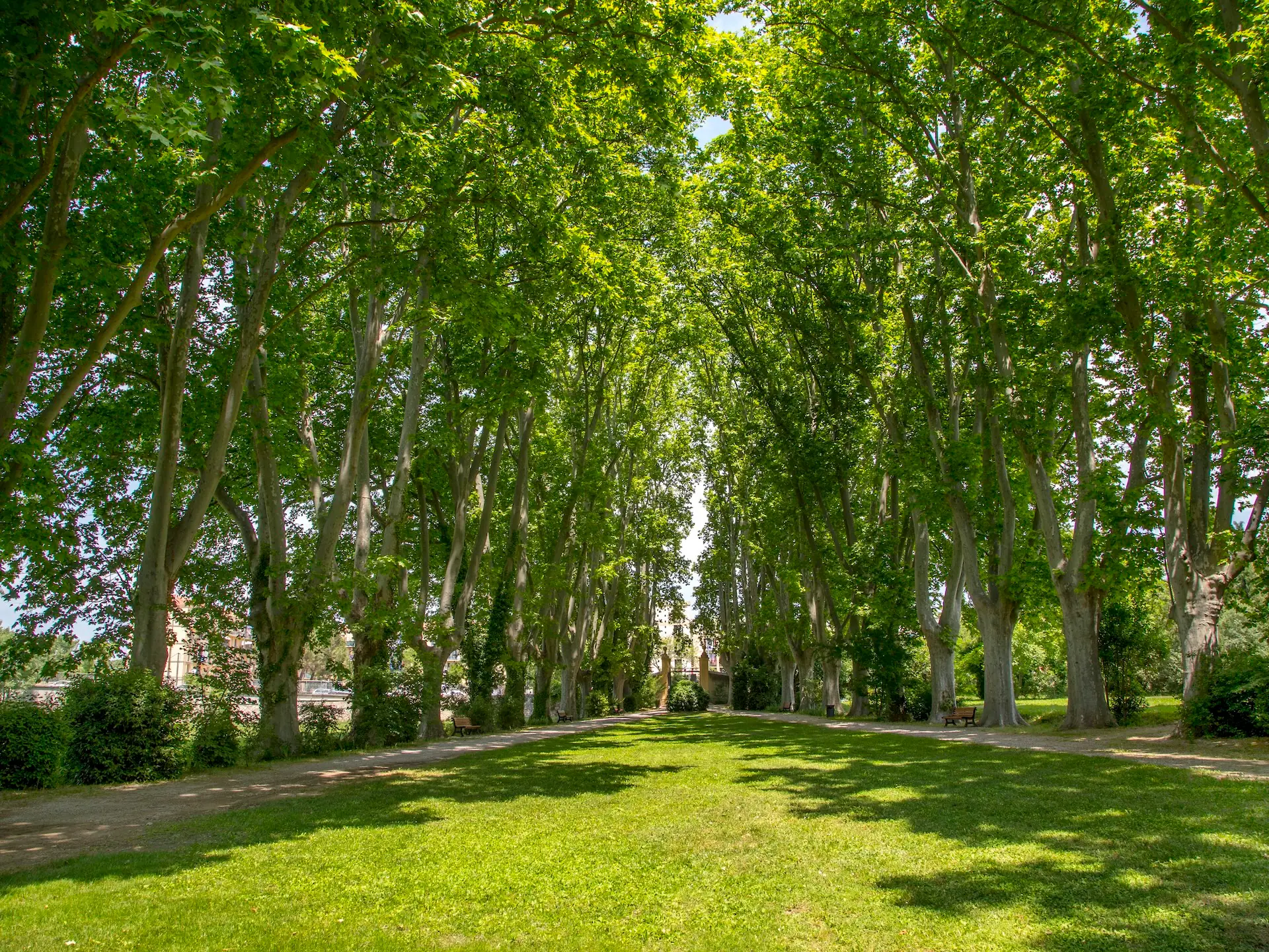 Visite guidée en français de la bastide du Jas de Bouffan