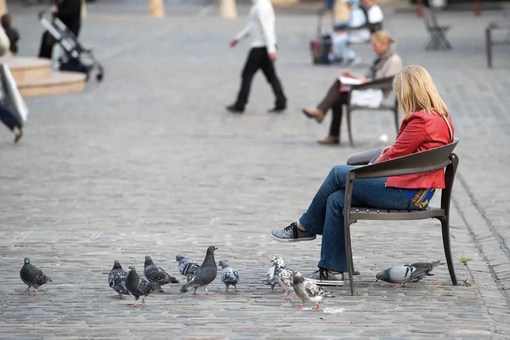 Place Ducale