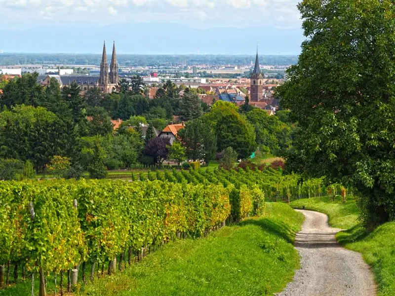 Obernai