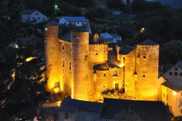 Château de Coupiac (groupes)