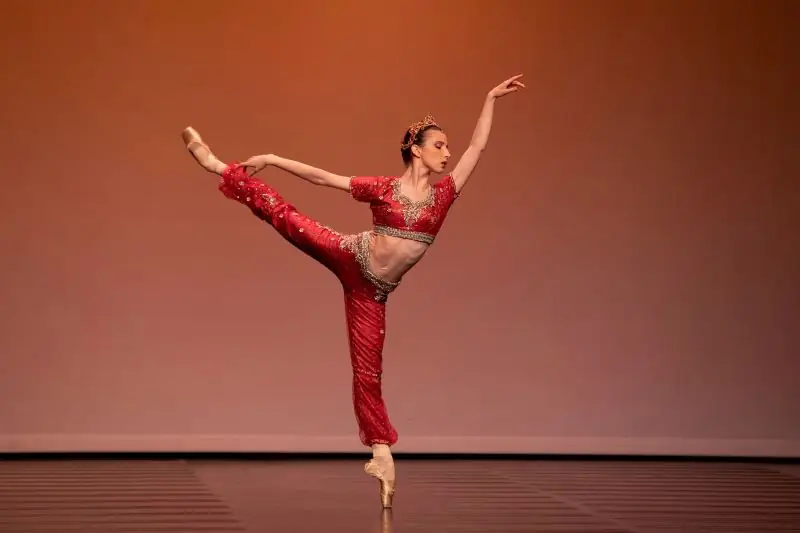 La Nuit de la Danse