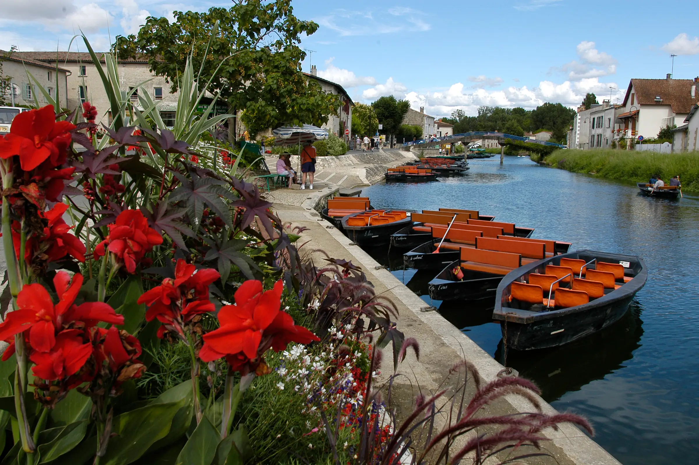 Coulon, capitale de la Venise Verte