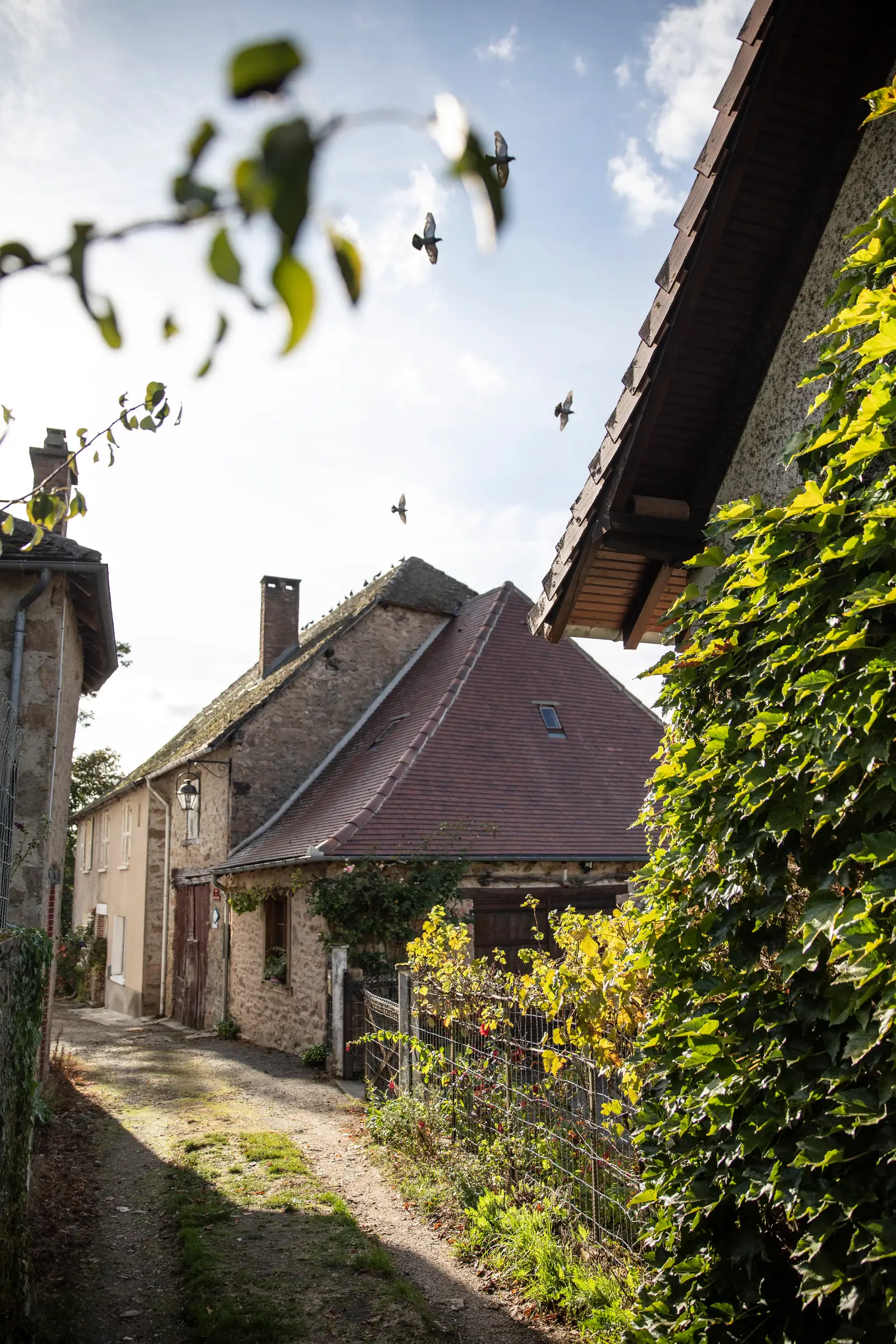 Visite commentée de Château-Chervix