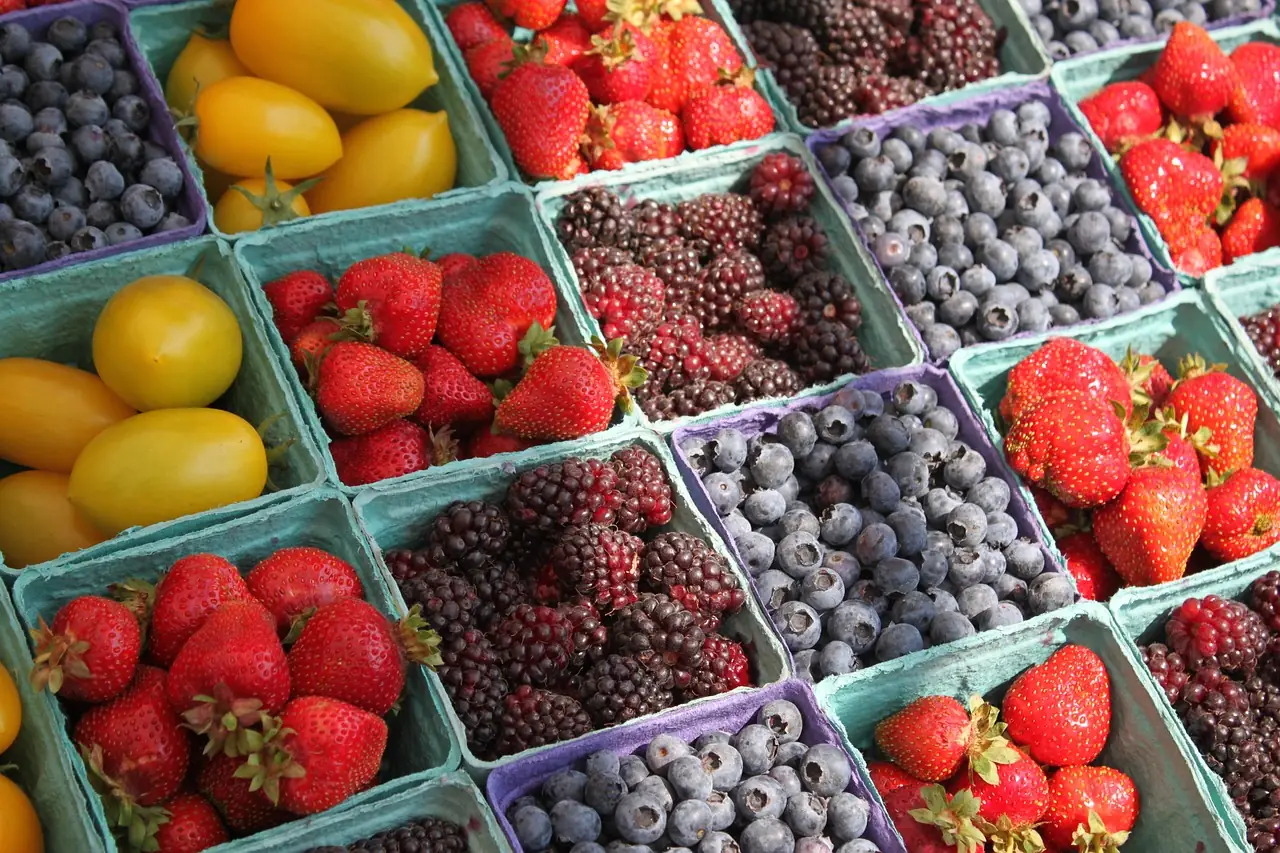 Marché de Saint-Hilaire-Saint-Mesmin - Dimanche